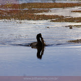Arica - Parque Nacional Lauca (38 de 48).jpg