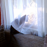 IMAG0169.jpg