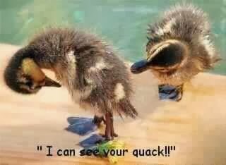 [quack_zps85a0f7b0%255B3%255D.jpg]