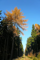 P1090626.JPG