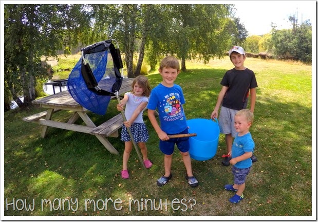 How Many More Minutes? ~ Mountain Stream Fishery & Free Camping in Scottsdale, Tasmania