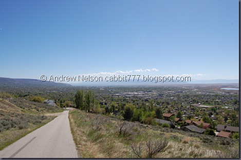 DSC_0856 DSC_0856