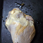 z_heart_ventral_02.JPG