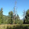 DSCN9831.JPG