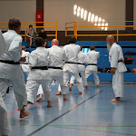 H25D2947.JPG