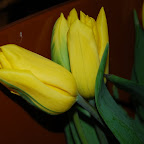 DSC_9984.JPG
