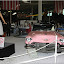– Technik Museum Sinsheim – Technik Museum Sinsheim