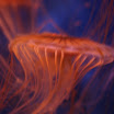 Los Angeles 054.JPG