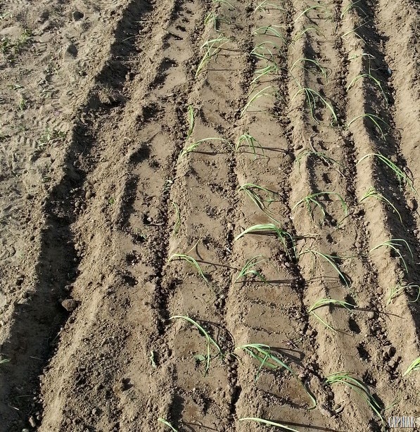 [20130515_173436%255B11%255D.jpg]