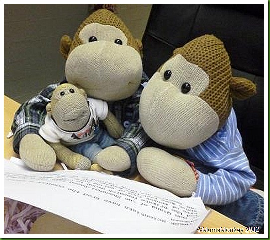 Monkey Nuts. Monkey Nuts.