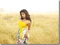 hot_actresses_on_CCL_2012_calender-8