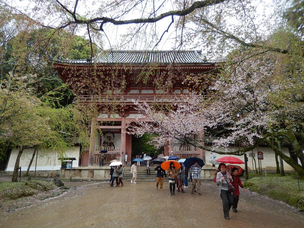 [2013OsakaTrip_Day3_095.jpg]