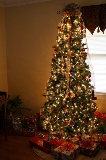 It's begining to look a lot like Christmas! (2011) 049