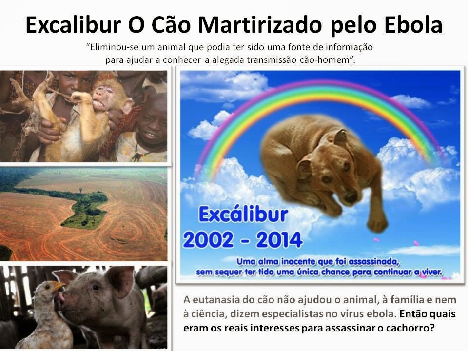 [excalibur-o-cao-martirizado-ebola%255B3%255D.jpg]