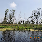 DSCN8235.JPG