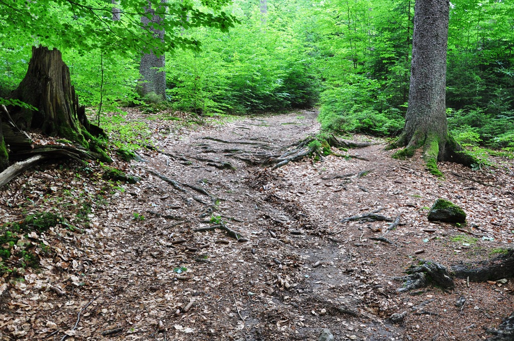 [DSC_1382%255B3%255D.jpg]