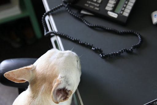 There - That is so much better.  Susie will certainly appreciate it.  Oh, and a call is coming in!