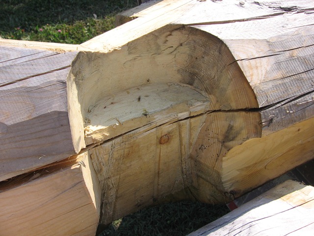 [houseerection0703.jpg]