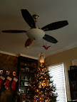 DSCN5679.JPG