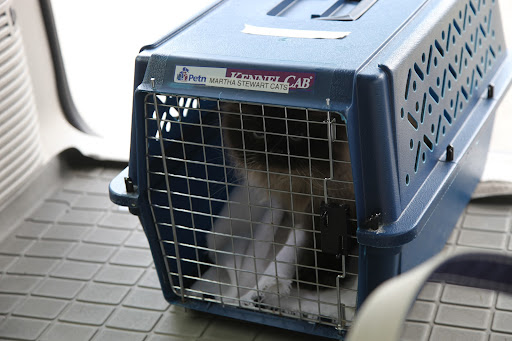It's important for all animals to get regular check-ups, especially as they get older.  Our pal, Bartok, is 15-years-old! Can you believe it?