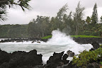 DSC_5926.JPG