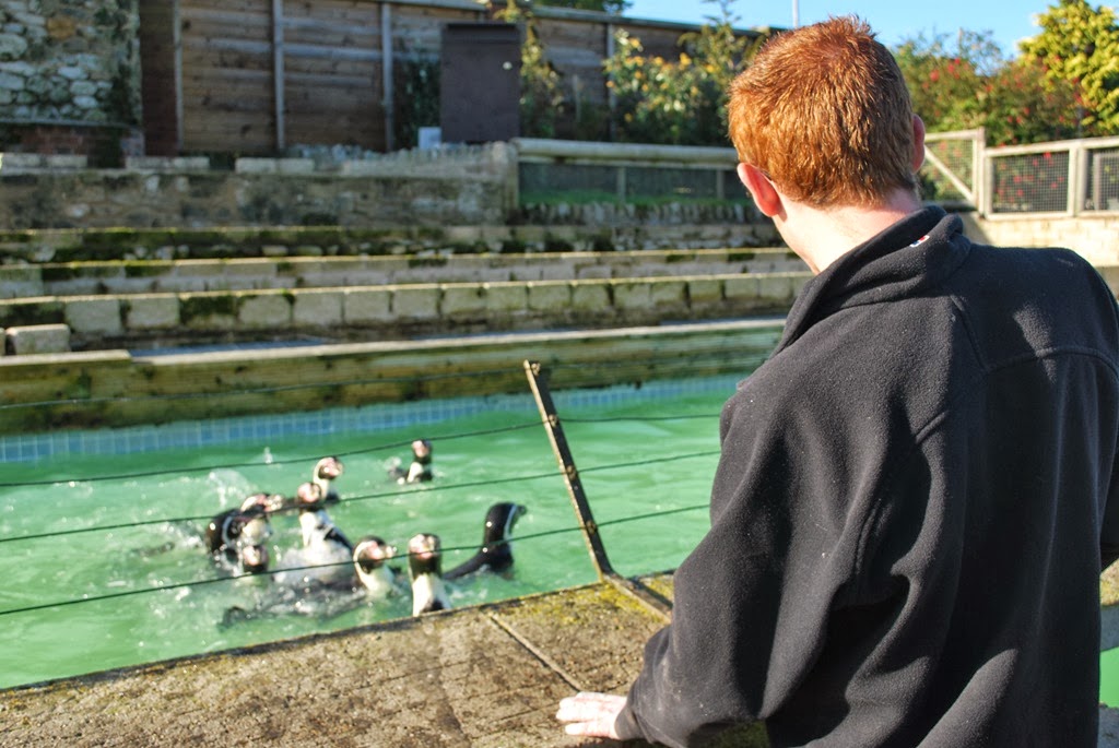 [DSC_0317%255B6%255D.jpg]