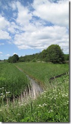 IMG_3873 IMG_3873
