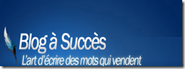Blog a succès