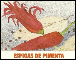 Espiga de Pimenta