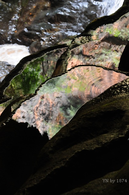 [DSC_5548%255B8%255D.jpg]