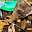 ELEFANT SRI LANKA