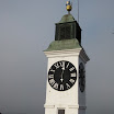 [IMG_1781.jpg]