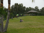 p1300354914(11).jpg
