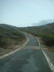 DSC01613.JPG