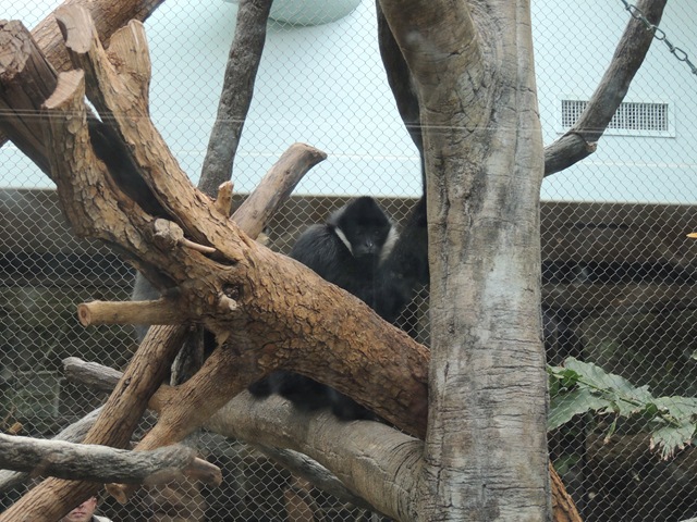 [DSCN1030%255B3%255D.jpg]