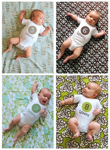 [Nora%2520Collage%2520weeks%25205%2520thru%25208%255B5%255D.jpg]