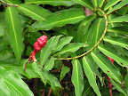DSCN7530.JPG