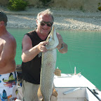 Brochet du lac de Sainte-Croix
