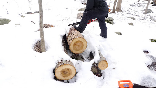 Hey G.K!  Alfredo is cutting up logs for one of his projects.