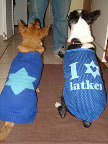 These are a few of my favorite things....

Carlito and Pickles -  Tampa, FL



Read more at Marthastewart.com: Happy Chanukah - MarthaStewart.com