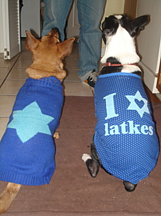 These are a few of my favorite things....

Carlito and Pickles -  Tampa, FL



Read more at Marthastewart.com: Happy Chanukah - MarthaStewart.com
