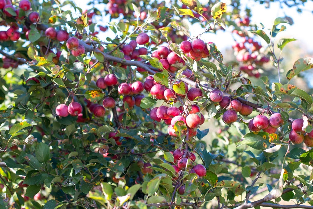 [IMG_1212%255B4%255D.jpg]