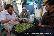 At 9AM, the qat seller is already getting ready to do business. Nothing really changes at Change Square. ساحة التغيير بصنعاء اليمن
