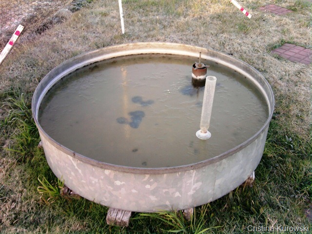 [P010711_08.50%255B12%255D.jpg]