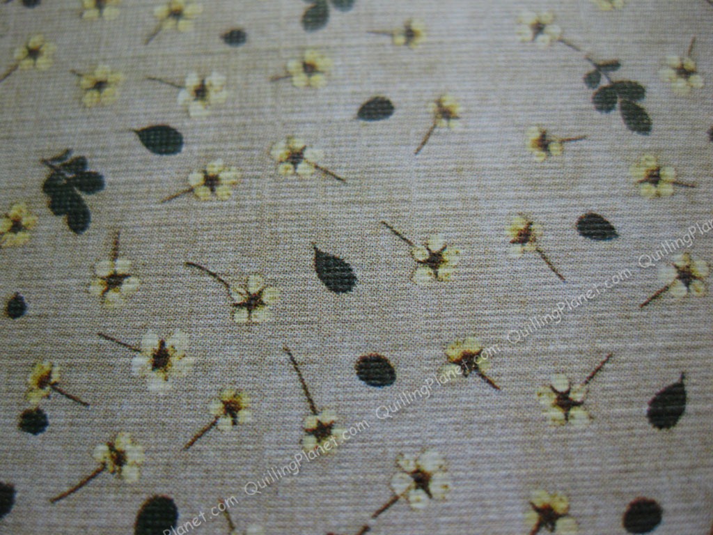 [IMG_6531WM%255B3%255D.jpg]