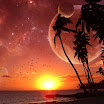 sunsets-trees (82).jpg