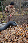 Good thing we were so gallantly rescued.  We might have been sucked right up with all those leaves!