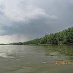IMG_1336.JPG