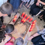 17052012-IMG_0044.jpg