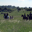 Heilsberg 2011-0023.jpg